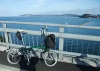 堀越海峡の写真・動画_image_21262
