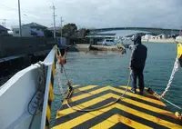 鳴門市役所 経済建設部岡崎渡船の写真・動画_image_21268