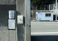 島田渡船の写真・動画_image_21302