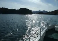 島田渡船の写真・動画_image_21305