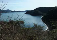 島田渡船の写真・動画_image_21309