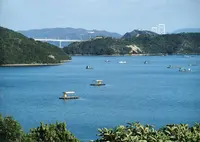 島田渡船の写真・動画_image_21310