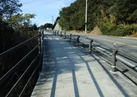 渦の道の写真・動画_image_21311