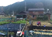 里鳥 〜satori〜の写真・動画_image_21914