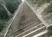 洲崎神社の写真・動画_image_22142
