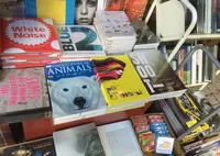 Shelf (シェルフ)の写真・動画_image_22270