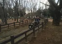 世田谷公園の写真・動画_image_22521