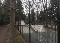 世田谷公園の写真・動画_image_22532