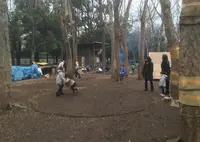 世田谷公園の写真・動画_image_22537