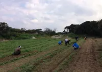 宝島の写真・動画_image_22963