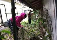 宝島の写真・動画_image_22964