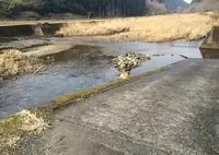 神野の写真・動画_image_22988