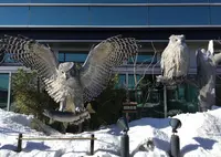 釧路空港（たんちょう釧路空港）の写真・動画_image_25837