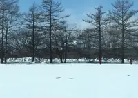釧路湿原国立公園の写真・動画_image_25846