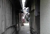 正法禅寺の写真・動画_image_26241