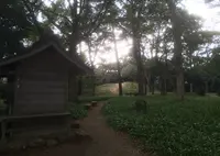 石垣山一夜城の写真・動画_image_26751