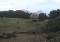 石垣山一夜城の写真・動画_image_26757