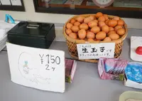 峰温泉大噴湯公園の写真・動画_image_27189