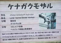 高鼻町４丁目の写真・動画_image_27492
