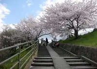 草津川緑地の写真・動画_image_27706