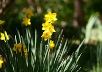 新下田駅・下田ロープウェイ／下田ロープウェイの写真・動画_image_27822