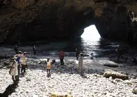 竜宮公園の写真・動画_image_27831