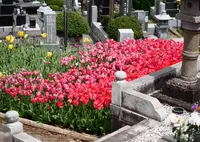 曹洞宗 萬年山 泉蔵寺の写真・動画_image_28643