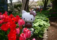 曹洞宗 萬年山 泉蔵寺の写真・動画_image_28644