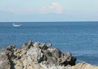 城ヶ島灯台公園の写真・動画_image_28840