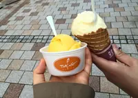 ジェラートトリノアップルロード店の写真・動画_image_29371