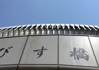 道頓堀クルーズの写真・動画_image_29443