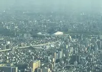 ハルカス300 展望台の写真・動画_image_29488