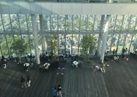 ハルカス300 展望台の写真・動画_image_29489
