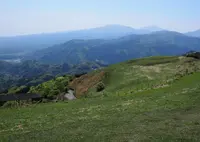 大野山の写真・動画_image_29938