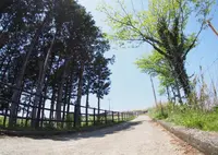 大野山の写真・動画_image_29941