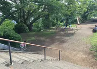 湘南平（高麗山公園）の写真・動画_image_30154