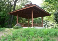 仙元山見晴らしの丘公園の写真・動画_image_30556