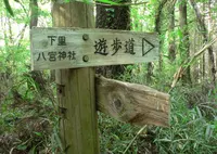 仙元山の写真・動画_image_30559