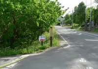 仙元山の写真・動画_image_30560