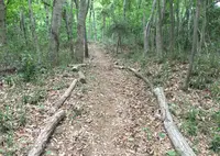 古徳沼の写真・動画_image_30901