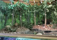 森のカルチャーセンターの写真・動画_image_30915