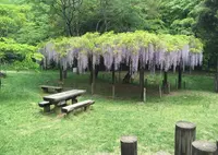 森のカルチャーセンターの写真・動画_image_30918