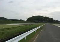 古徳沼の写真・動画_image_30940