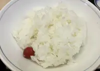 魚竹の写真・動画_image_34482