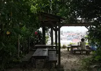 しむじょうの写真・動画_image_35146