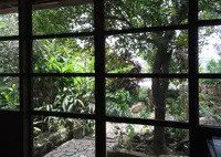 しむじょうの写真・動画_image_35149