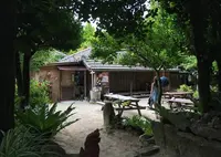 古民家の宿とお食事処 ちゃんや~の写真・動画_image_35154
