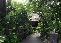カフェ・チャハヤブラン(cafe CAHAYA BULAN)の写真・動画_image_35155