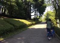 八幡山公園の写真・動画_image_36177