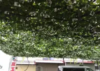 富玉園の写真・動画_image_36361